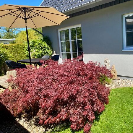 Ferienhaus Buhne 31 Prerow Kültér fotó